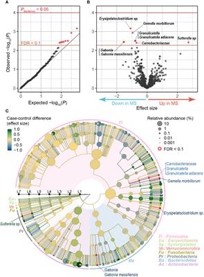 A Metagenome-Wide Association Study of Gut Microbiome in Patients With Multiple Sclerosis Revealed Novel Disease Pathology